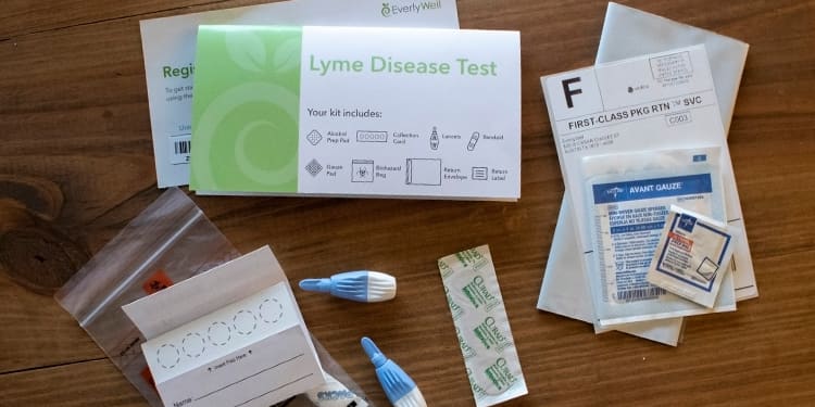 At-home Lyme Disease Test kit components